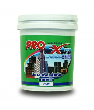 Watercolor Painting Interior 5 Gallons - Pro Extra Shield 