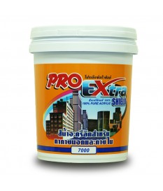 Exterior Color Pro Extra Shield